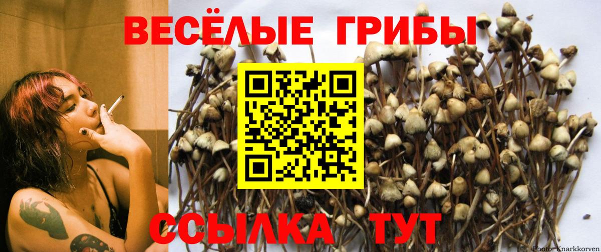 Псилоцибиновые грибы ЛСД  Псилоцибиновые грибы прущие грибы  Вход с VPN  наркота  Можайск 